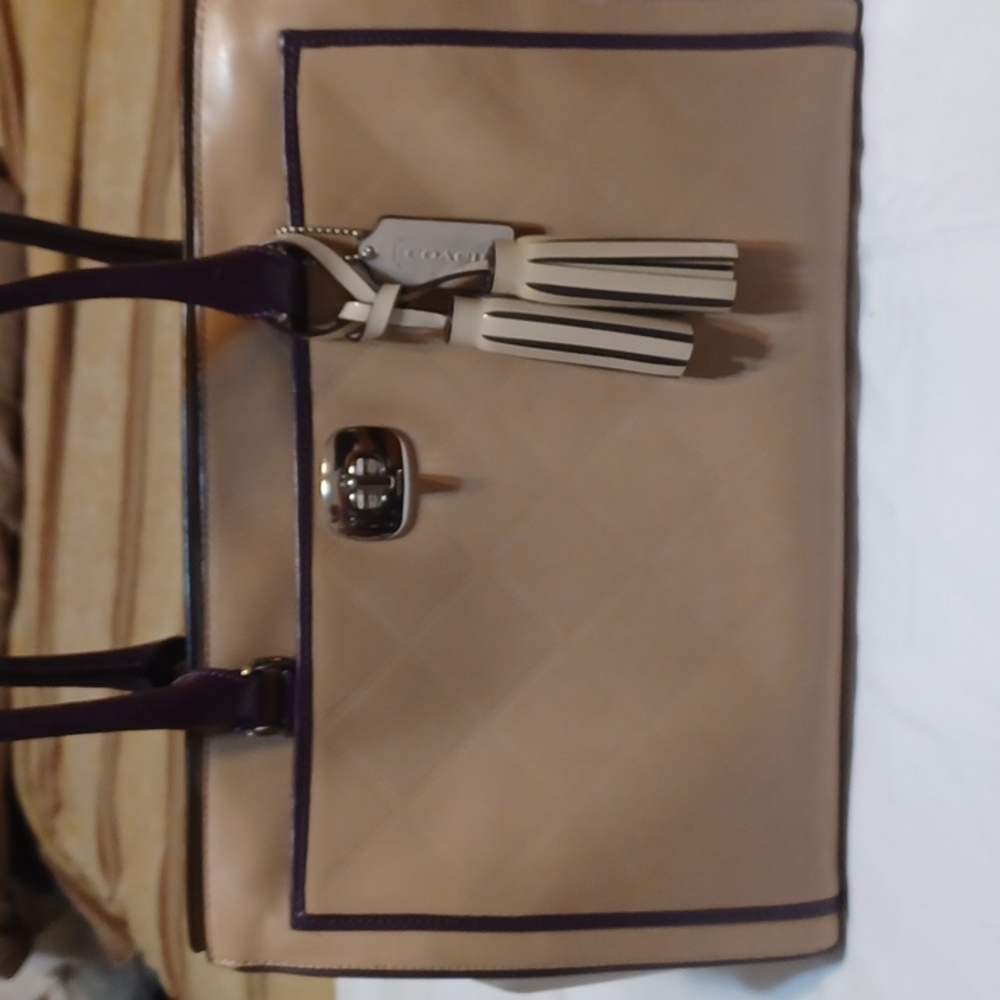 L14 1/2", W12". Coach Chelsea Carrayall Large in Quilted Leather